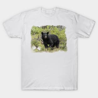 Black Bear T-Shirt